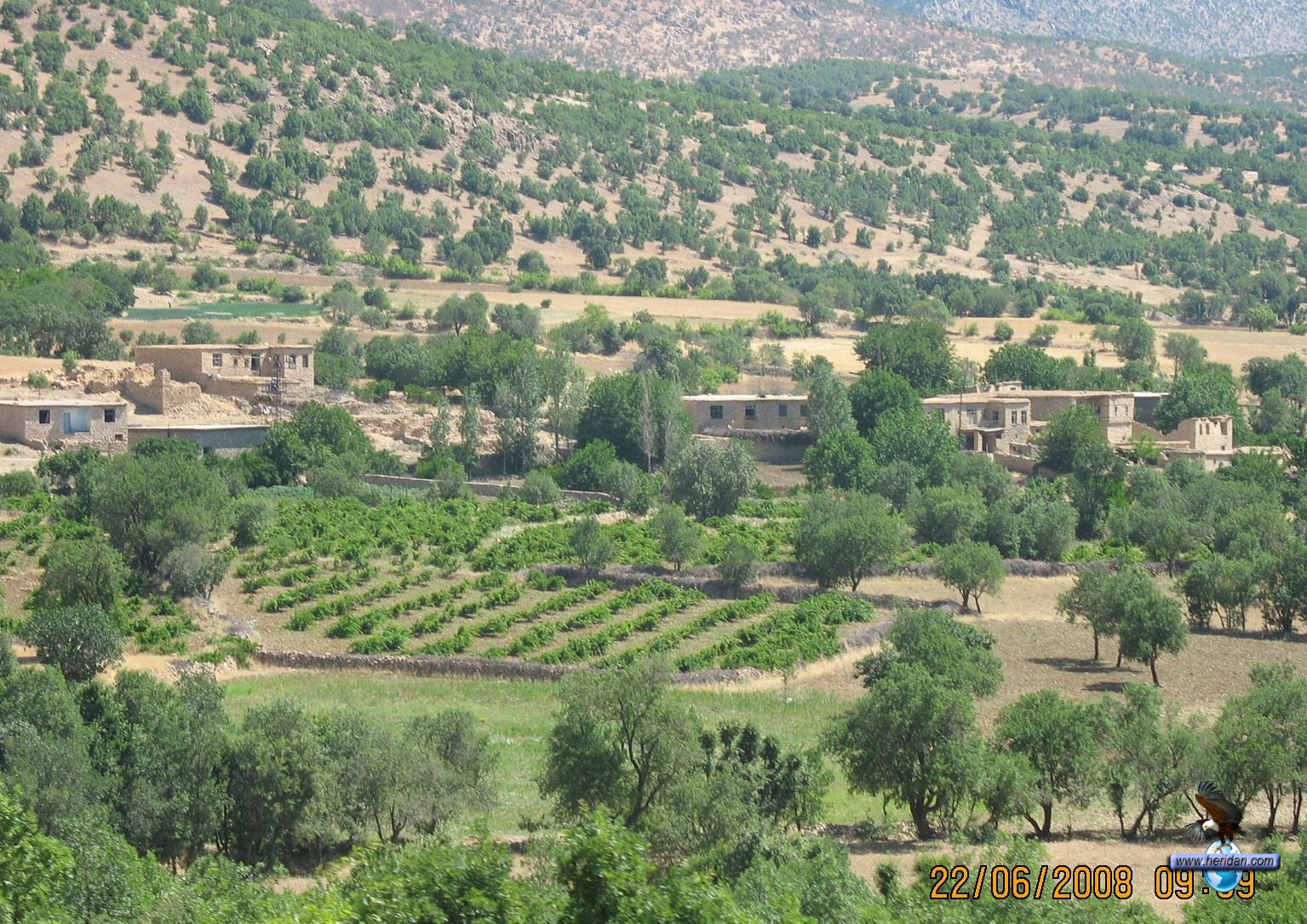 Cilbeni