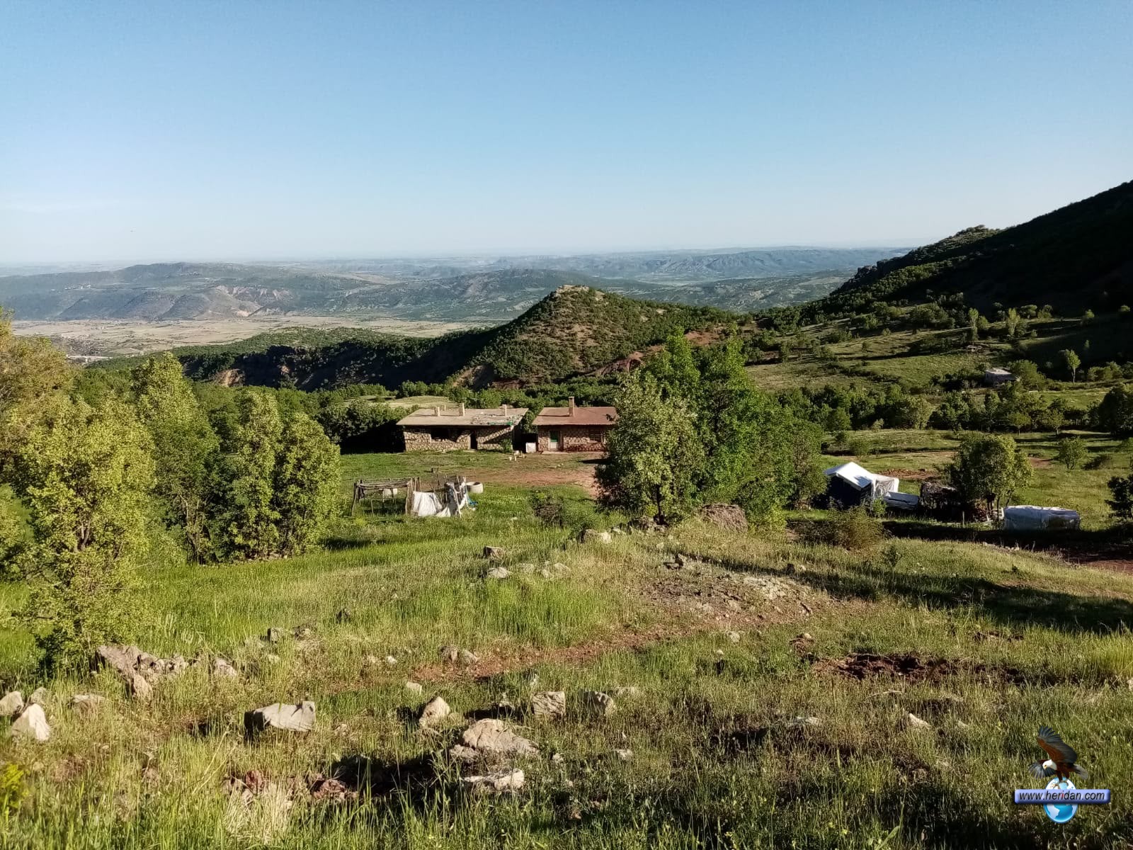 tunekrag