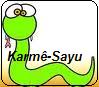 Karmi-Sayu