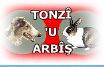 TONZ� 'U ARB��